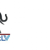 Vivopower International